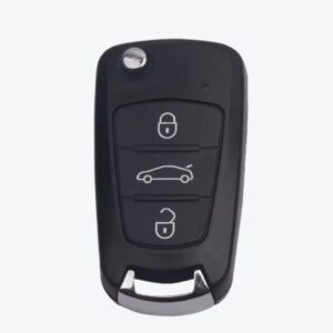 PAGINA WEB - 2025-06-23T104943.162 Carcasa Sevillana Telemando 3 Botones Great Wall