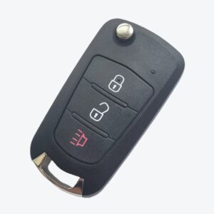 PAGINA WEB - 2025-06-23T105916.163 Carcasa Sevillana Telemando Great Wall 2 + 1 Botones