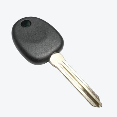 Llave Porta Chip Hyundai Paso Izquierdo Hyn14