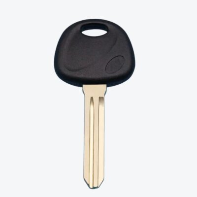 Llave Porta Chip Hyundai Paso Izquierdo Hyn14