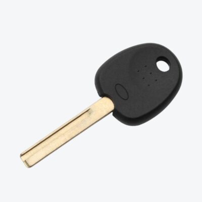 Llave Porta Chip Hyundai Alojamiento Grande