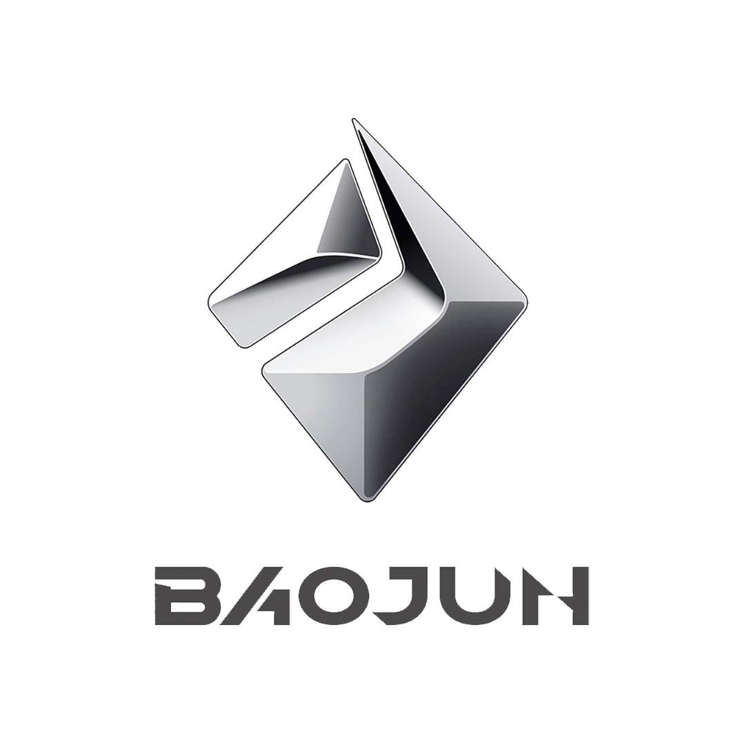 Carcasa Sevillana Baojun 4 Botones Espada Dentada