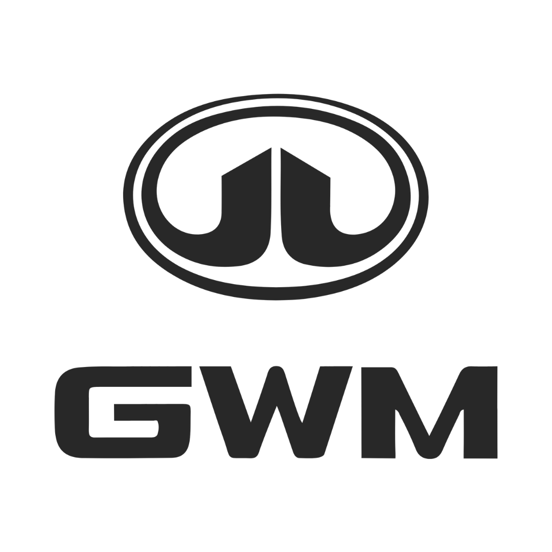 Nuevo Ingreso (24) Carcasa Sevillana Great Wall 3 Botones