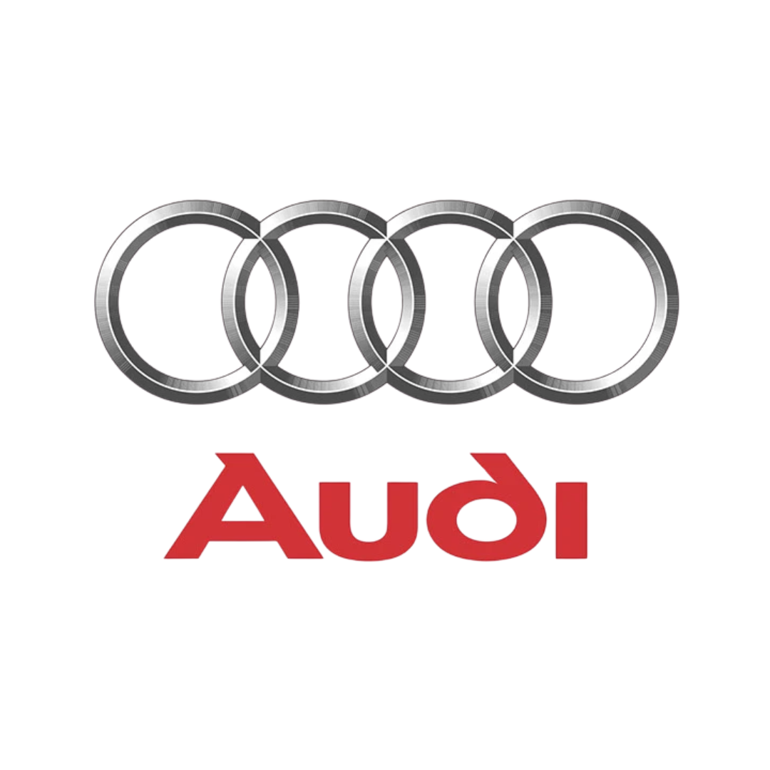 Nuevo Ingreso (5) Carcasa Sevillana Audi 3 Botones