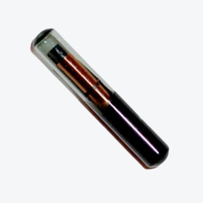 Chip Transponder TPX 4