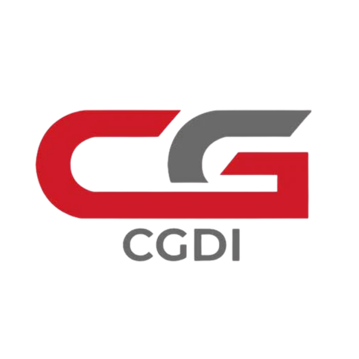 Programador De Llaves CGDI K2